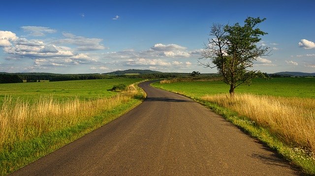 Zwalczanie chwastów: skuteczność i wyzwania